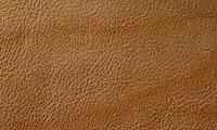 Kleurnuances