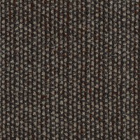 Savanna 672