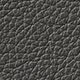 Carbon
